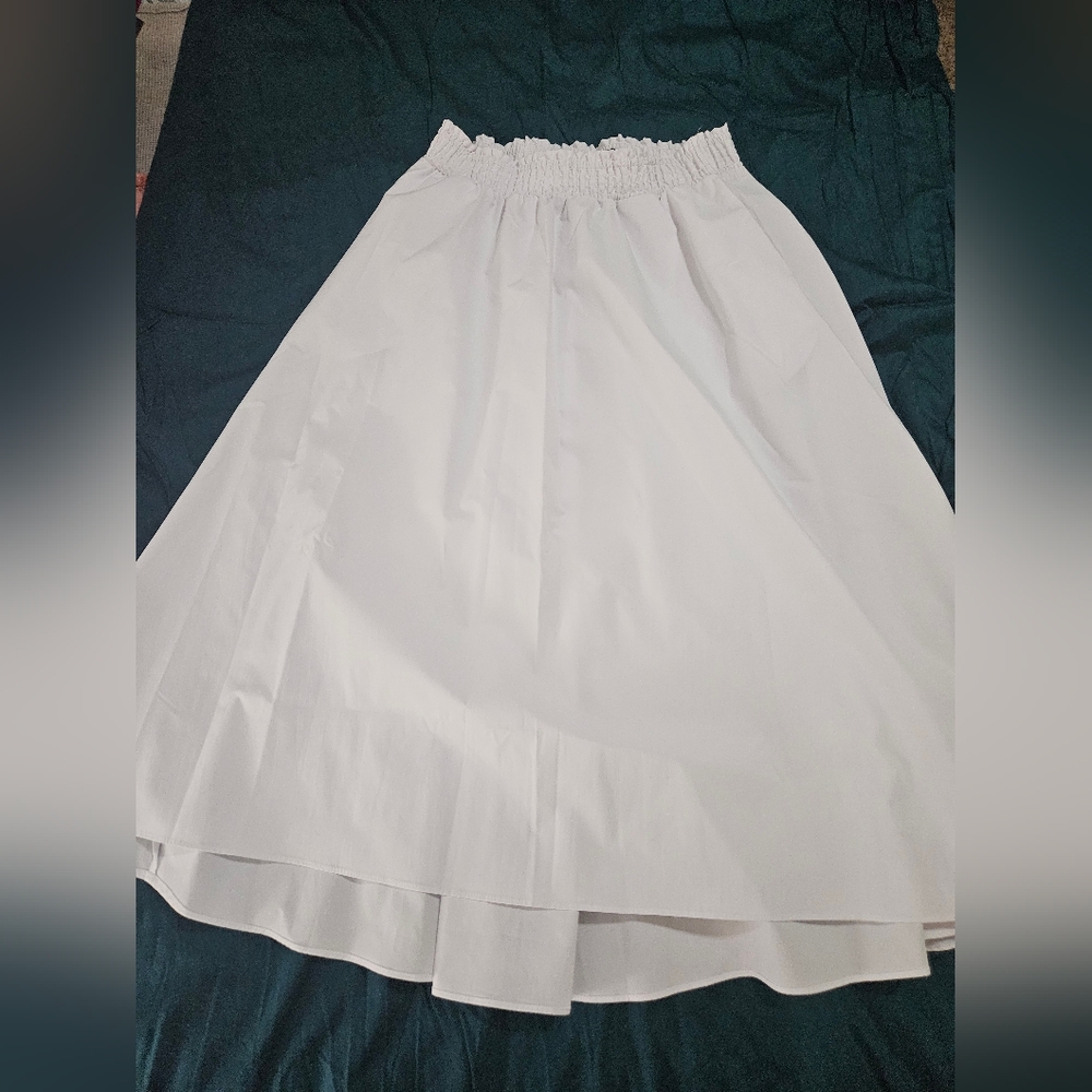 Zara Smocked Flared Skirt